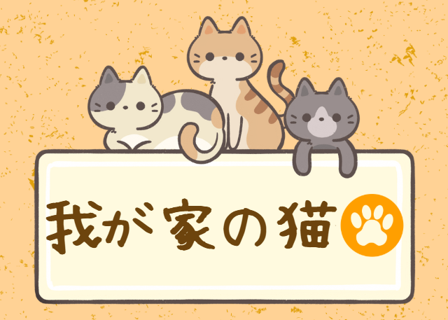 我が家の猫_アイキャッチ
